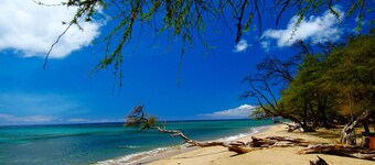 Embark on a journey through Maui with Aloha Glamp