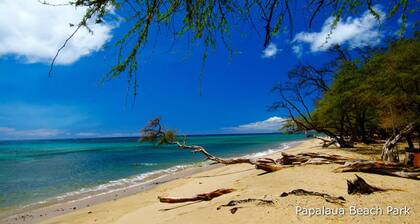 ¡Explora Maui a tu manera!