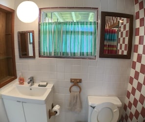Douche, séchoir à cheveux, serviettes fournies, savon