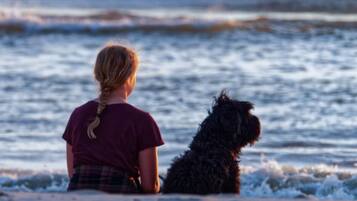 On the beach, sun-loungers, beach towels