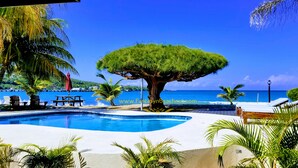 A swimming pool with lounge chairs and a large tree in the center, overlooking a beach. - Villa BEACHNUT - ON PRIVATE BEACH IN A GATED COMMUNITY (Rio Bueno)