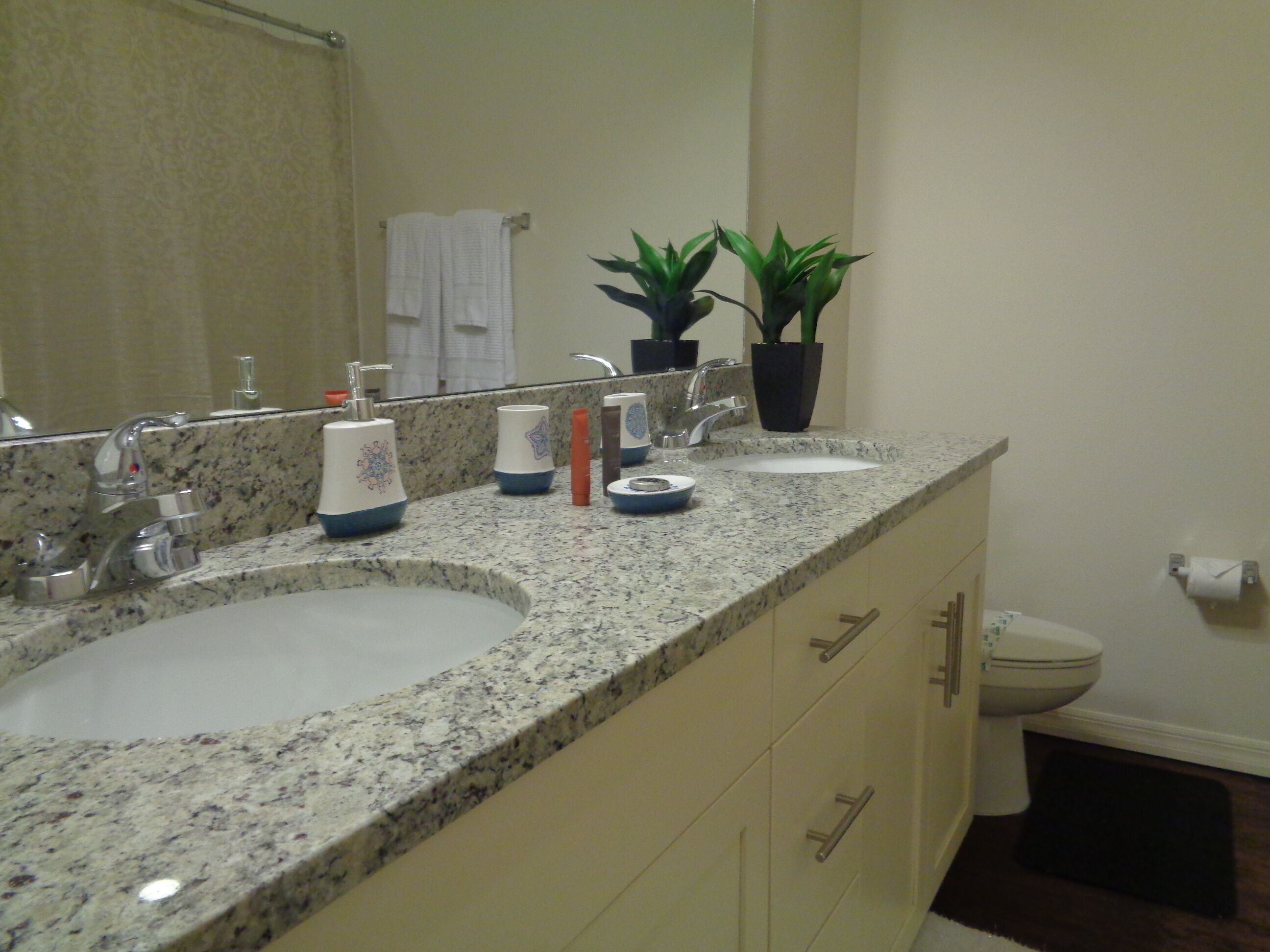 A bathroom with two sinks, a mirror, a toilet, and a potted plant.