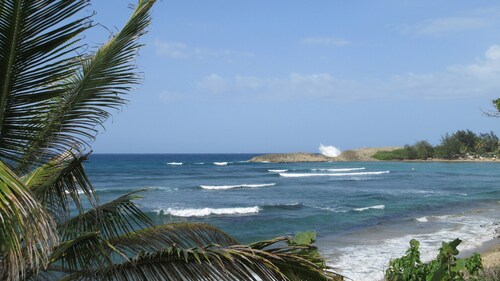 Beautiful and Charming Casa Aceituna