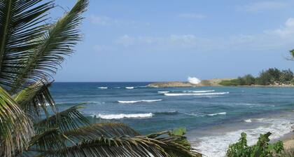 Beautiful and Charming Casa Aceituna