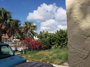 Unclassified image, 4 of 23, button - Beautiful and relaxing South Florida House (West Palm Beach)