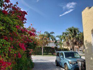 Property grounds - Beautiful and relaxing South Florida House (West Palm Beach)
