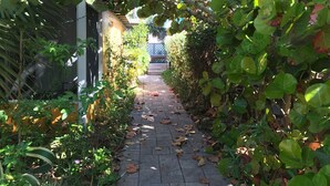 A narrow pathway flanked by lush greenery and a building with a dark facade.
