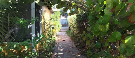 A narrow pathway flanked by lush greenery and a building with a dark facade.