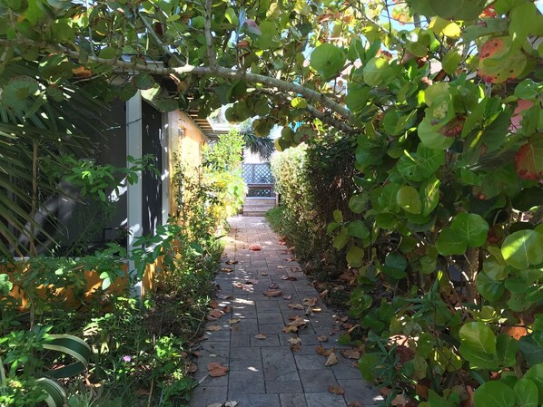 A narrow pathway flanked by lush greenery and a building with a dark facade.