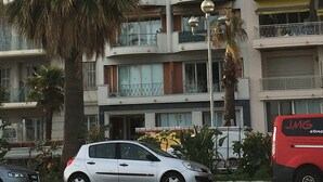 Un immeuble à plusieurs étages doté de balcons, d’un palmier et de voitures garées.
