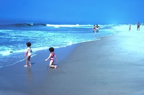 Beach nearby, sun-loungers, beach towels - Prime East Hampton Village Location. Heated Pool.  Walk To All!  (East Hampton)