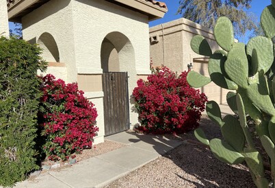 Mesa- Gateway  in a Quiet Neighborhood close to many attractions & golf courses