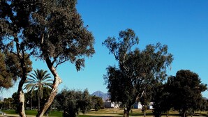 Ein Golfplatz mit gepflegten, grünen Fairways und Sandbunkern, umgeben von reifen Bäumen und blauem Himmel.