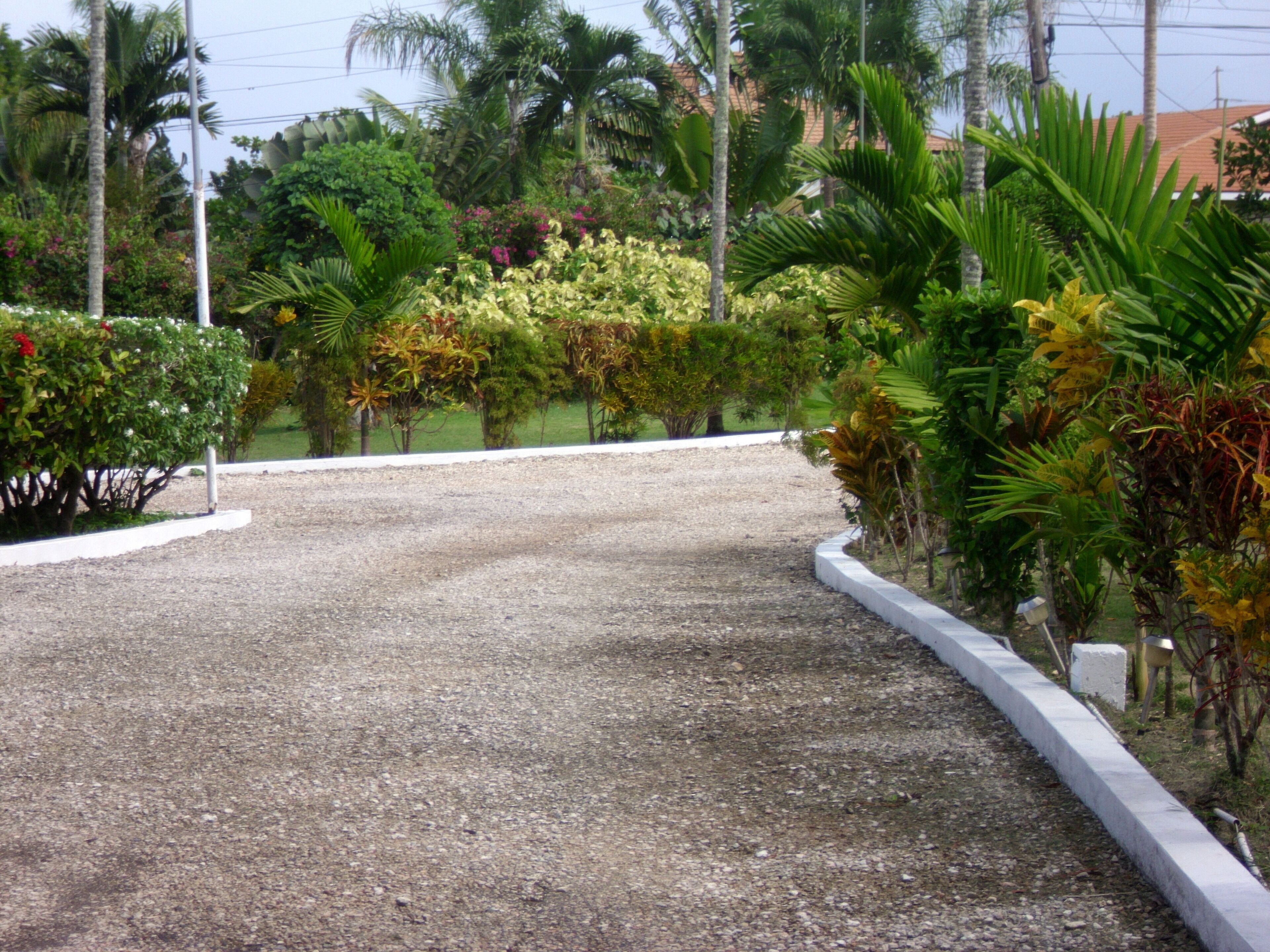 A gravel path leading to a landscaped area with various plants and trees.