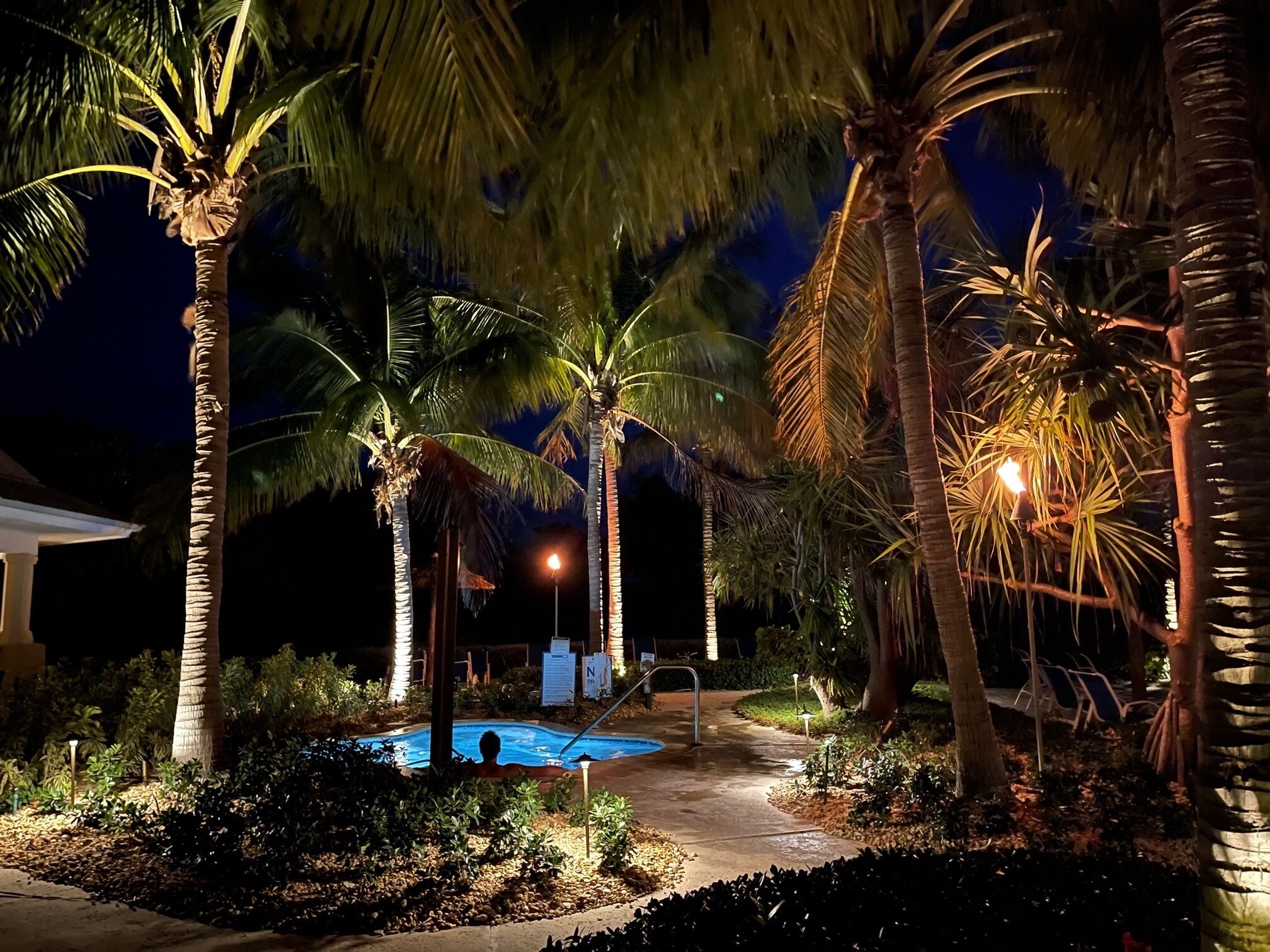Un espace piscine nocturne agrémenté de palmiers et d’un chemin illuminé.
