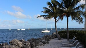 A beach with a row of lounge chairs and a rocky shoreline. - FULL TIME LIC MGR - INDOOR/OUTDOOR PICKLEBALL - SPEAKEASY - OCEANFRONT RESORT! (Key Largo)