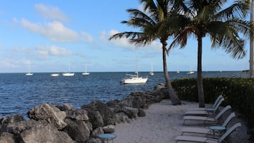 Beach nearby, sun loungers, beach towels