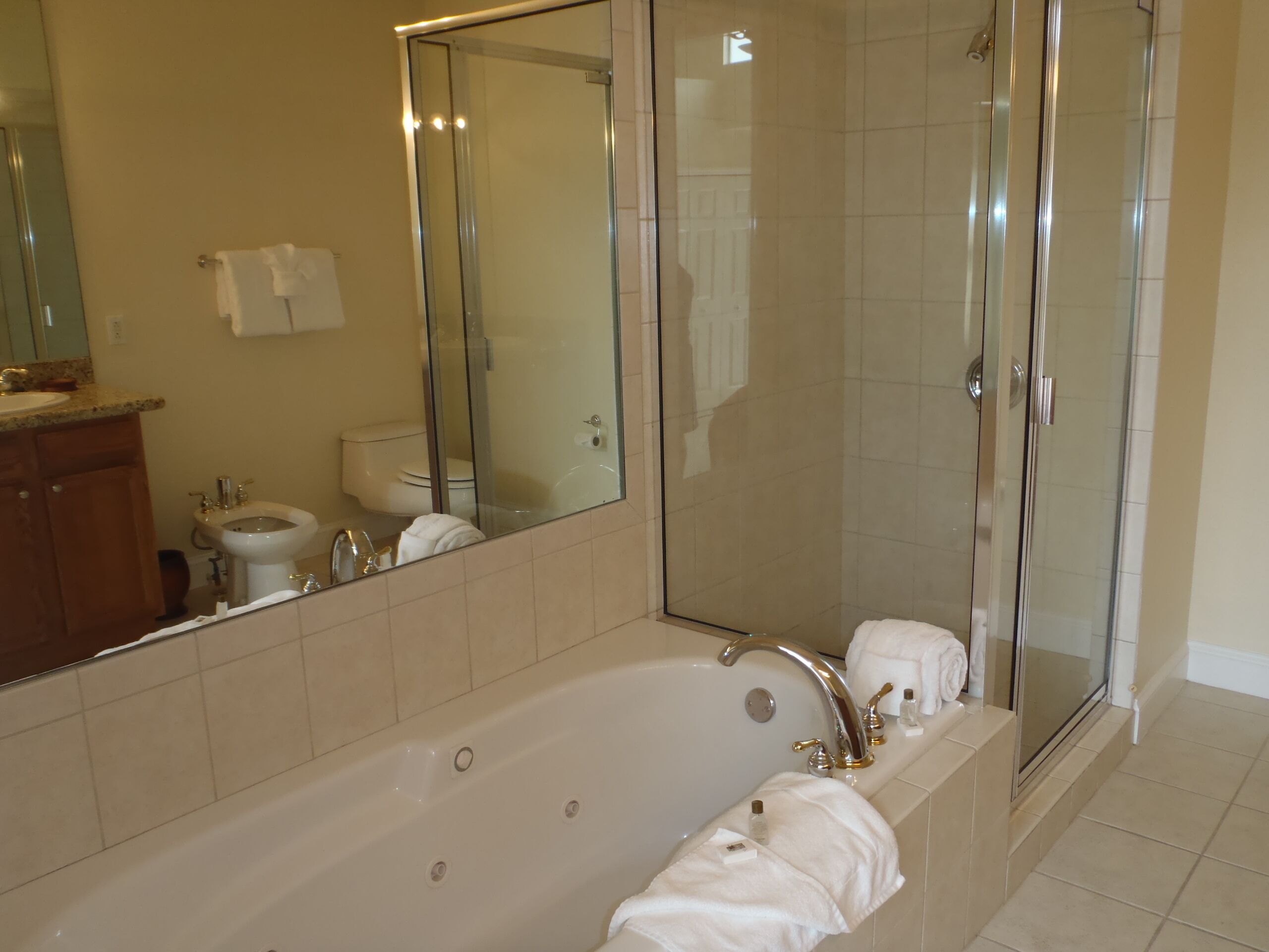 A modern bathroom with a large bathtub, a glass-enclosed shower, and a mirror reflecting the room.