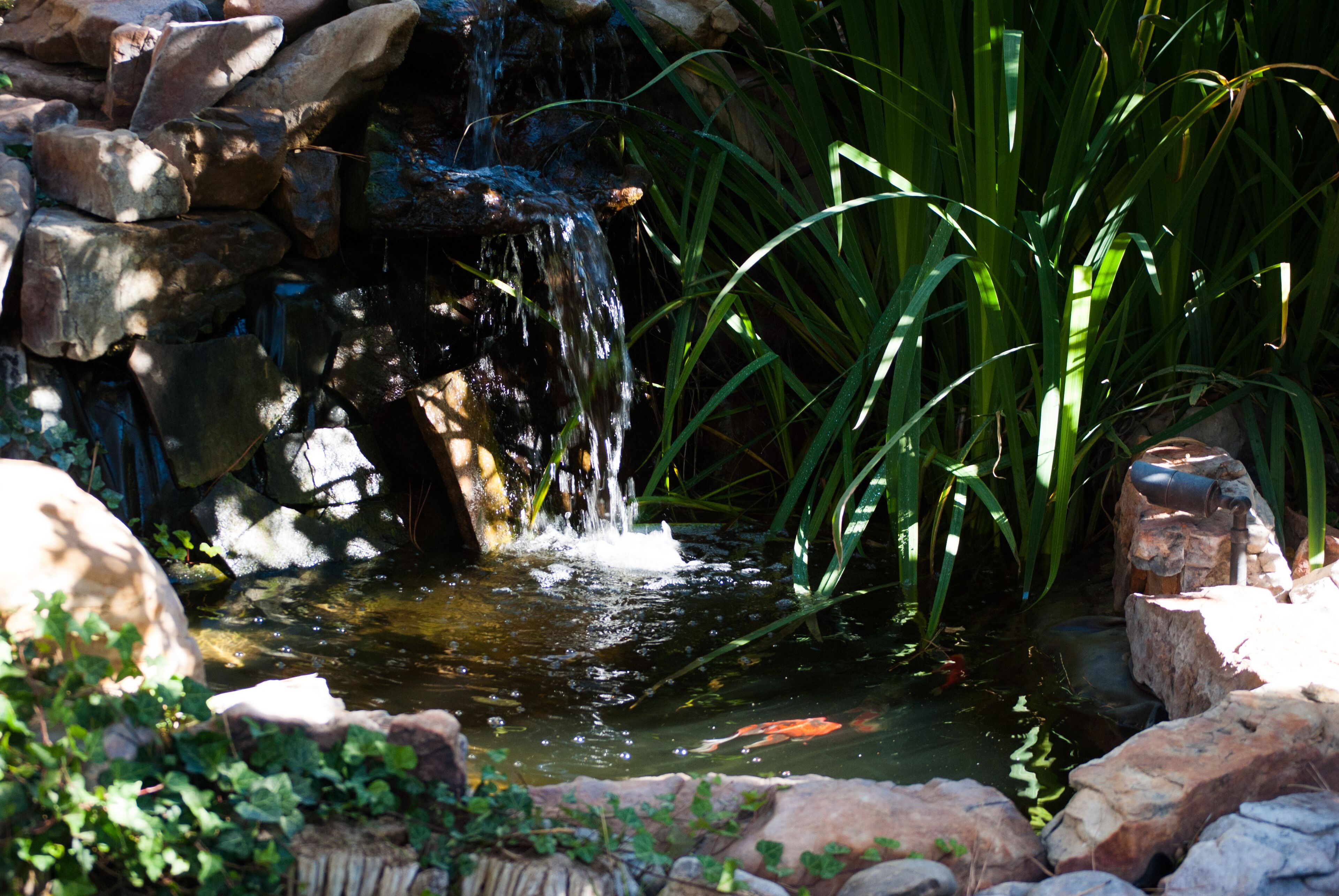 A small pond with a waterfall, surrounded by rocks and greenery.