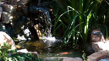 A small pond with a waterfall, surrounded by rocks and greenery.