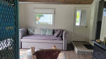 Smart TV, fireplace, DVD player, books