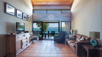 Télévision, lecteur de DVD, livres