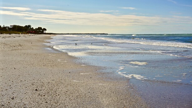 A beach with a wide sandy shore, gentle waves, and a clear sky. - Unique Pass-a-Grille condo just steps from the sand.. (St Pete Beach)