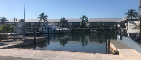 A marina with boats docked, a building with a metal roof, and palm trees.