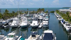 Un port de plaisance où de nombreux bateaux sont amarrés le long d’un canal étroit, entouré de palmiers et surplombé d’un ciel dégagé.