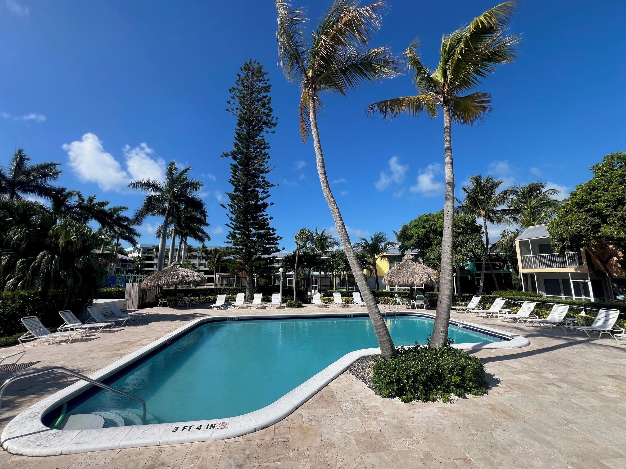 A swimming pool with lounge chairs, palm trees, and a clear blue sky.