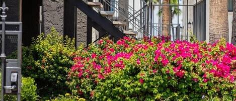 Parco della struttura