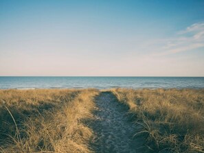 A beach path leading to the sea with grassy dunes. - Chic Village Cape w/sparkling pool! Walk to boutiques & eateries, bike to ocean! (East Hampton)