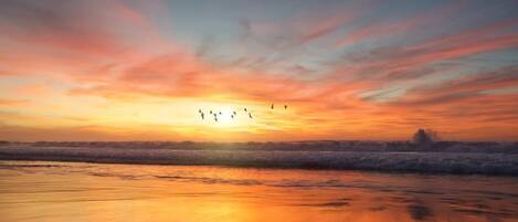 A beach at sunset with a calm sea and a clear sky.