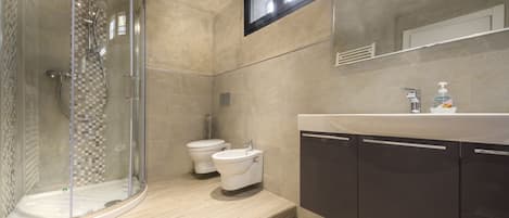Shower, hair dryer, bidet, towels