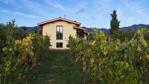 A vineyard with a building in the background. - Villa in Toscana - Reggello con Piscina, Wi-Fi, Giardini.  (Reggello)