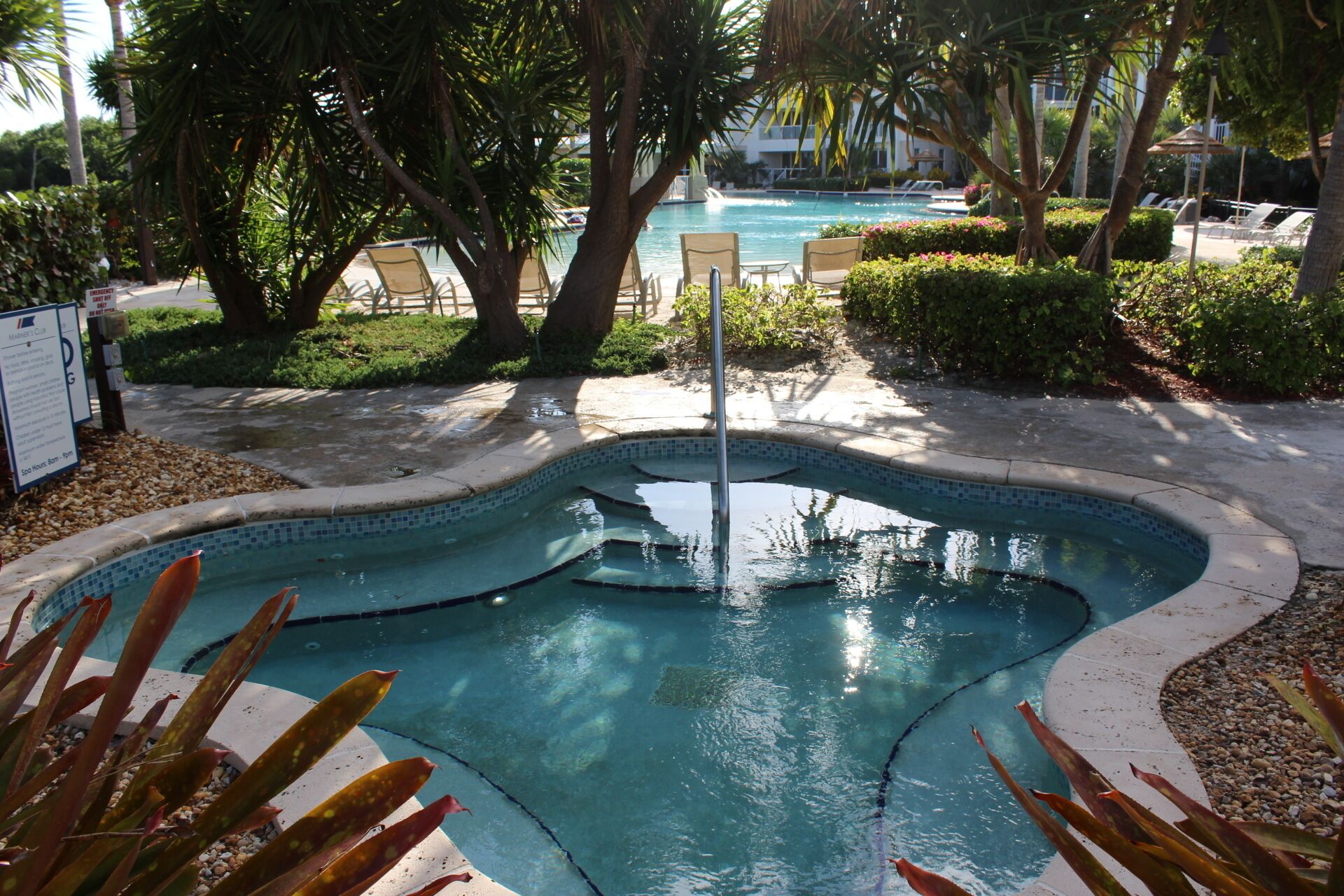 A swimming pool with a water feature, surrounded by palm trees and lounge chairs.