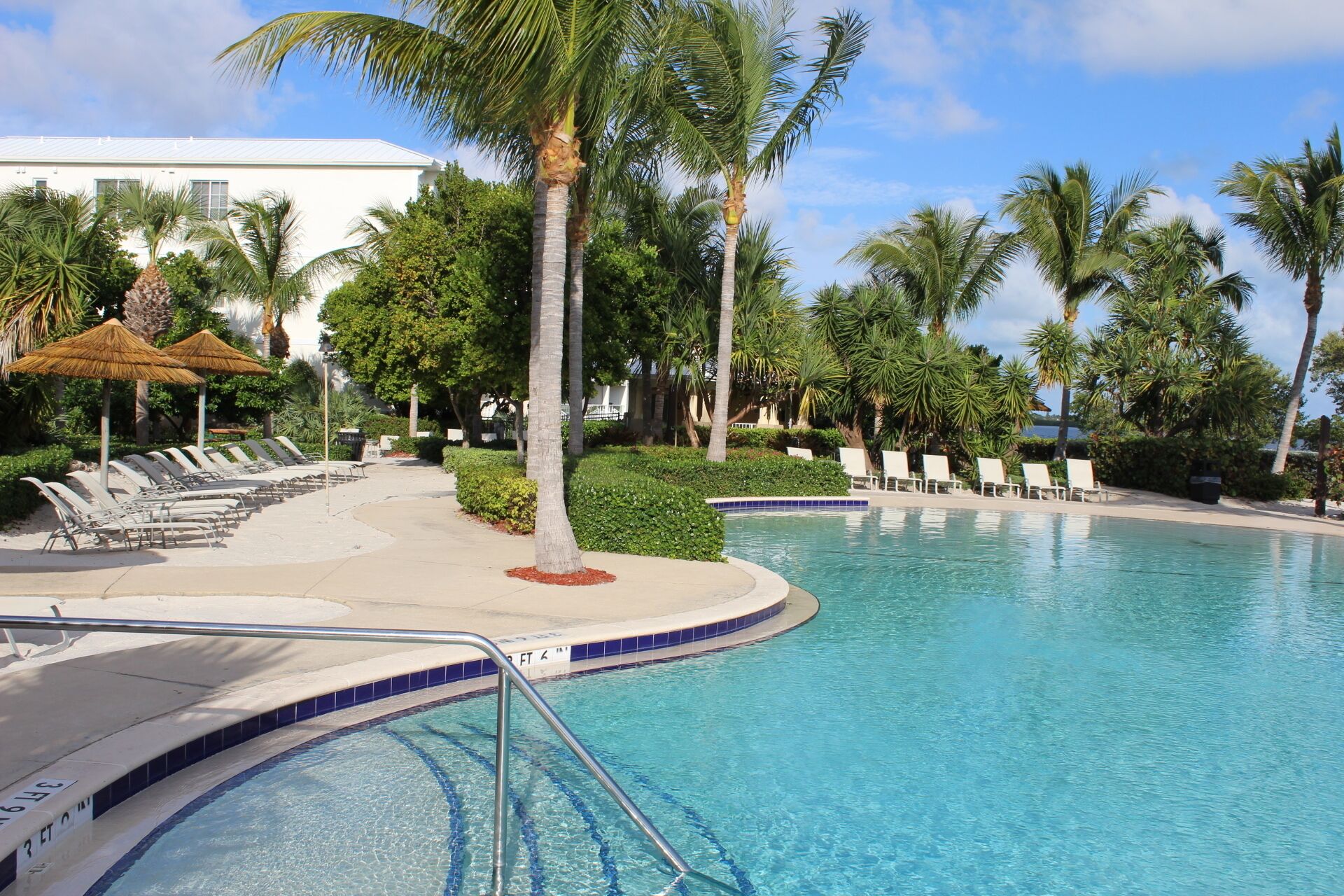 Un área de piscina con sillones de descanso y palmeras.