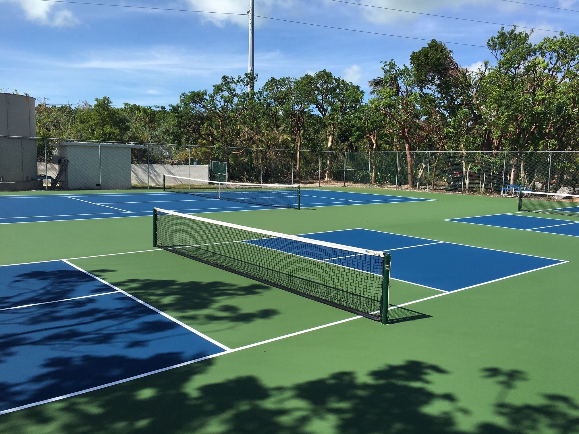 A tennis court with multiple courts, surrounded by trees and a fence.