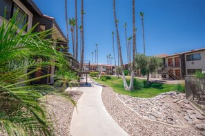 Terrain de l’hébergement 