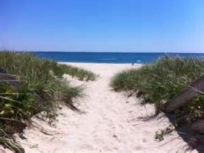 A sandy beach path leading to the ocean, surrounded by vegetation.