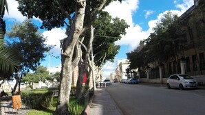 Una acera bordeada de árboles y coches aparcados en una calle de la ciudad.