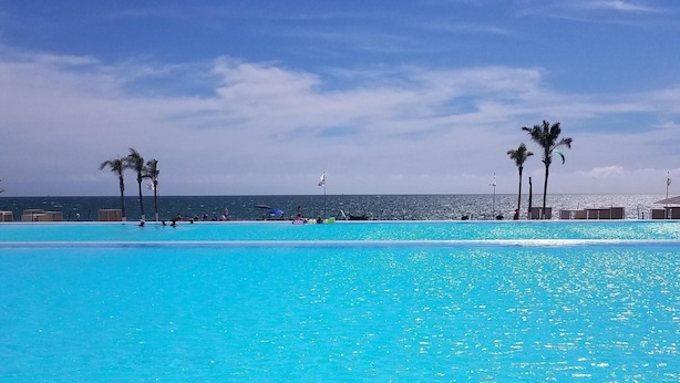 A large outdoor swimming pool with clear blue water, surrounded by palm trees and a view of the ocean.