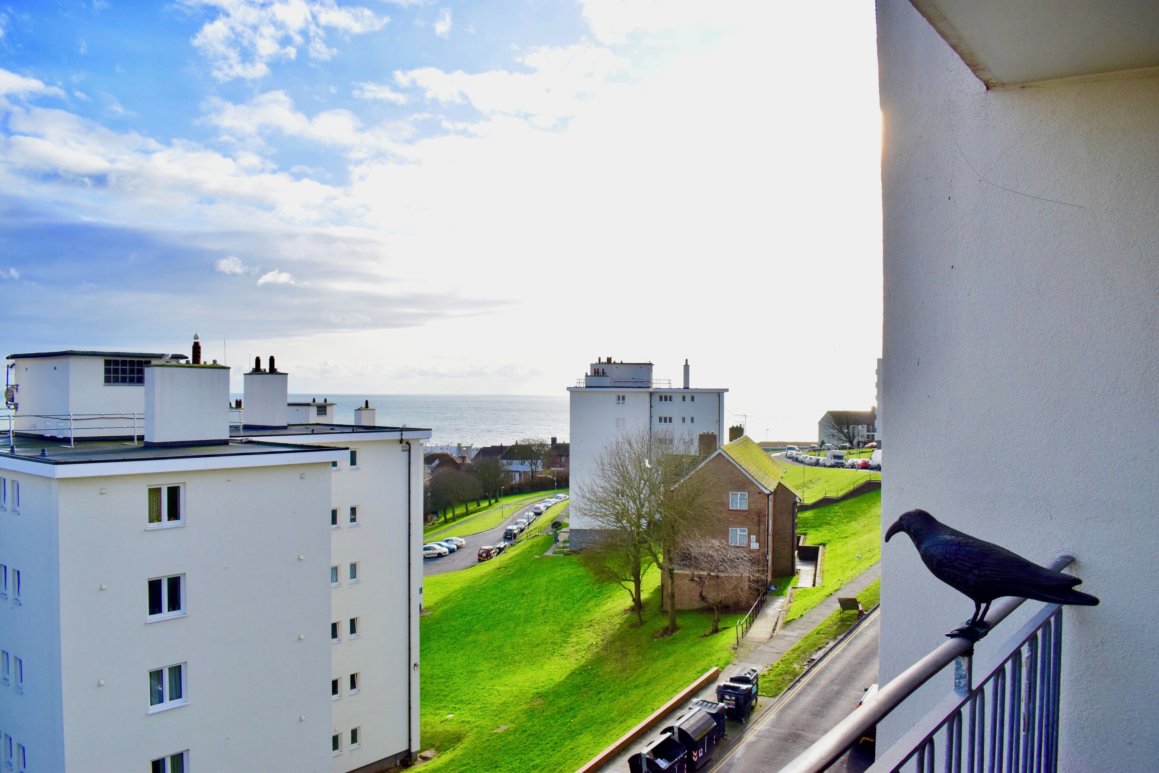 A bird on a balcony overlooking a residential area with a view of the sea and a road with parked cars.