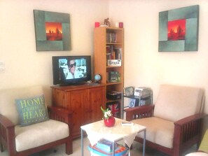 Fernseher, DVD-Player, Bücher, Musikbibliothek