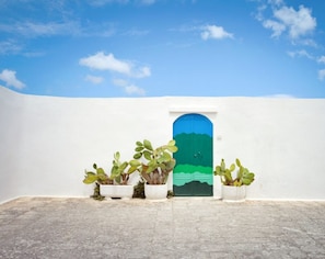 Property grounds - 2 terraces - dishwasher - bbq - beach 300mt (Carovigno)