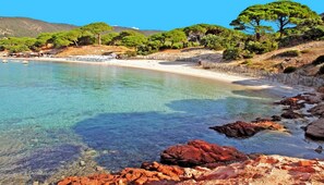 Tæt på stranden