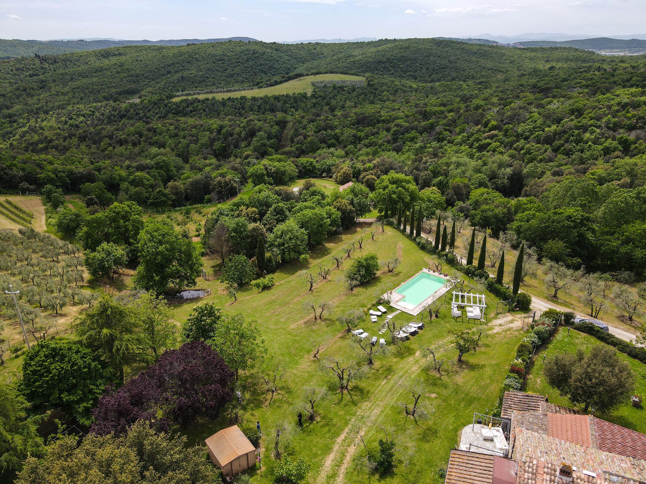 An aerial view of a property with a swimming pool, vineyard, and surrounding greenery.