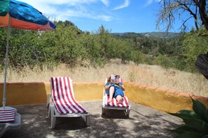 Property grounds - Los Marantes Holiday Homes in Puntagorda, La Palma (Puntagorda)