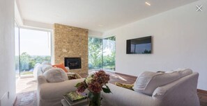 TV, fireplace, table tennis, computer monitors