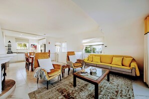 Smart TV, fireplace, books